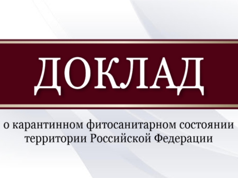 Александр Серёженко принял участие в пленарном заседании Государственной Думы.