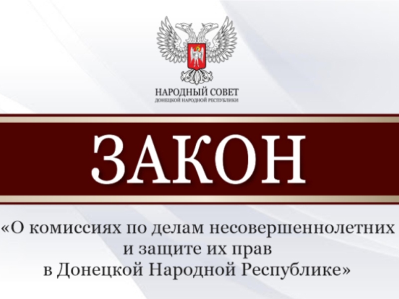 Принят закон о комиссиях по делам несовершеннолетних и защите их прав в Донецкой Народной Республике.