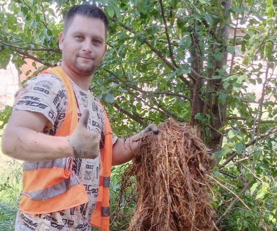 Аварийная бригада Республики Бурятия провела ремонт на 12 участках в Старобешево.