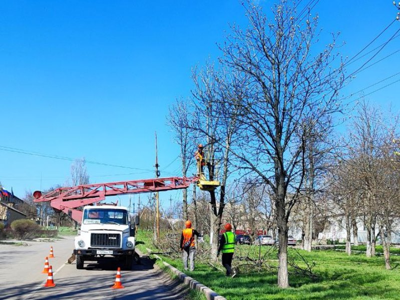 В Старобешевском округе проводятся работы по обрезке веток деревьев в охранных зонах вдоль линий электропередач.