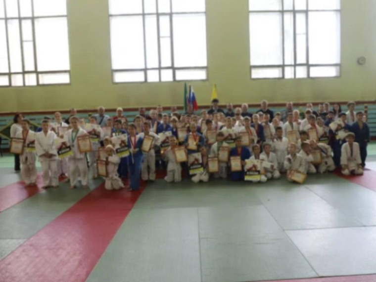 Детский турнир по дзюдо провели в посёлке Новый Свет. Детский турнир по дзюдо провели в посёлке Новый Свет.